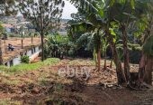 68 Acres at Kalule, Bombo