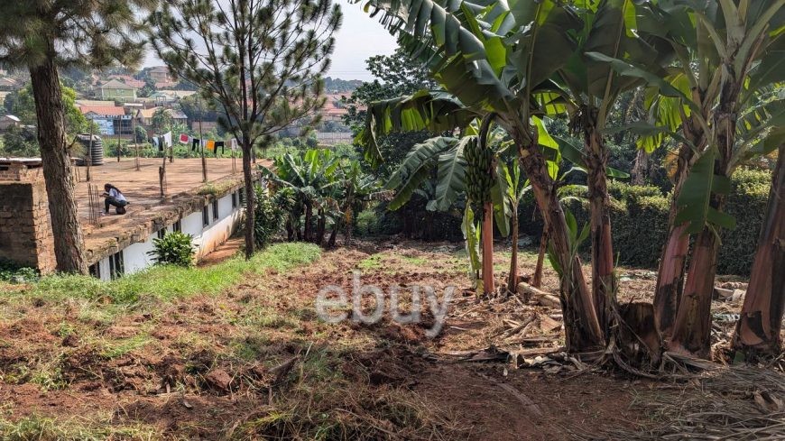 68 Acres at Kalule, Bombo